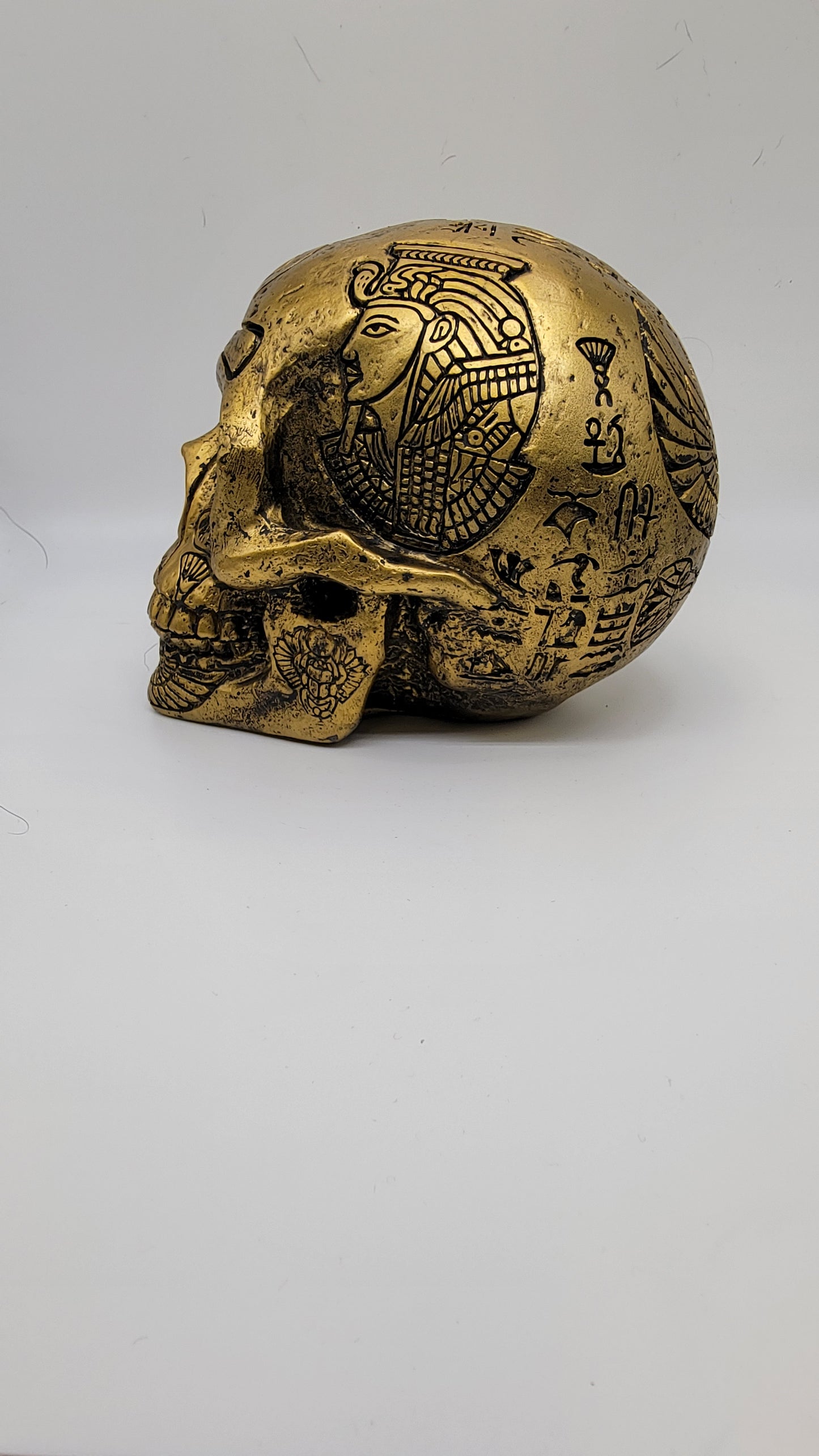 Egyptian Skull-Side View, Decorative Skull
